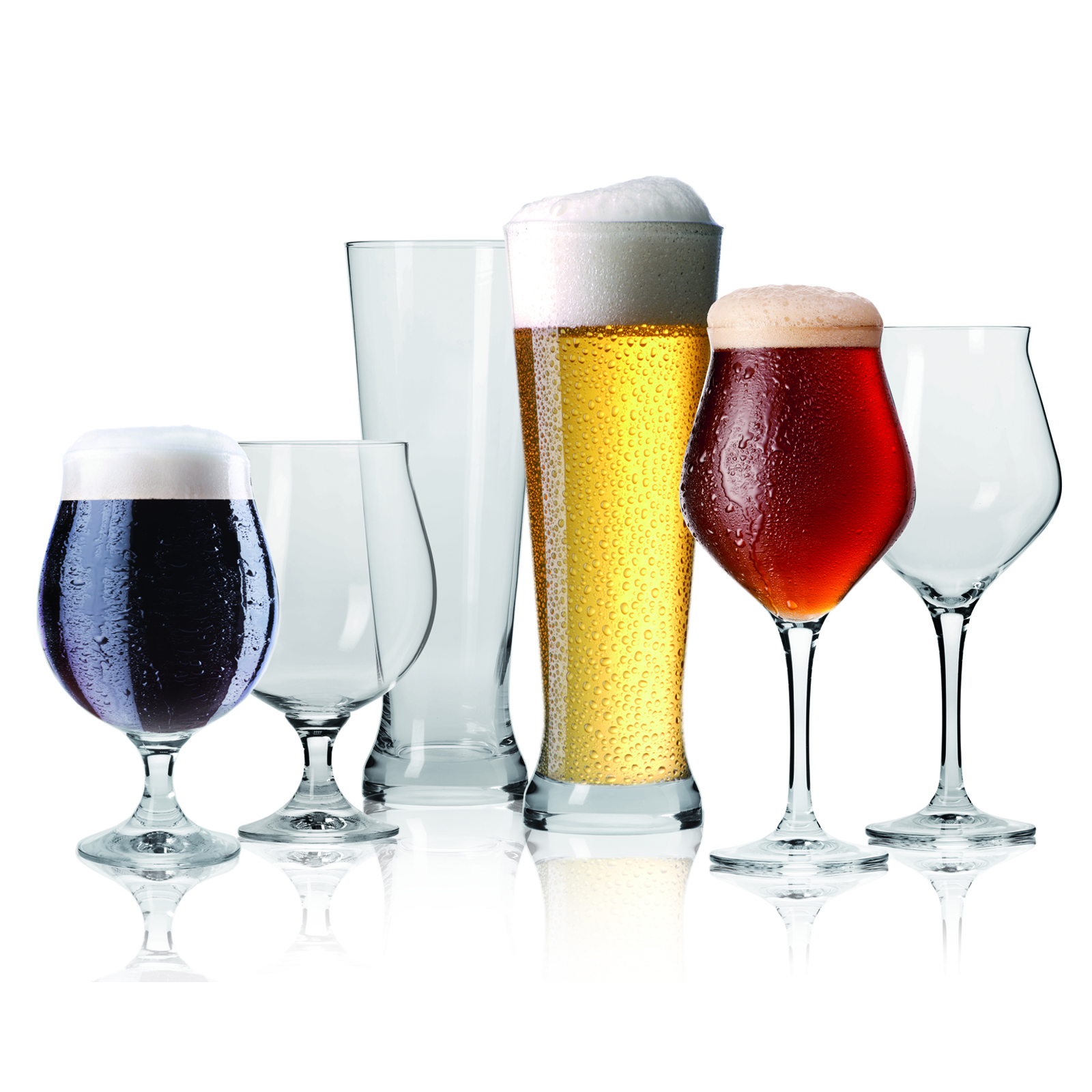 Pack 10 Bières La Sagra + Verre à Bière CADEAU